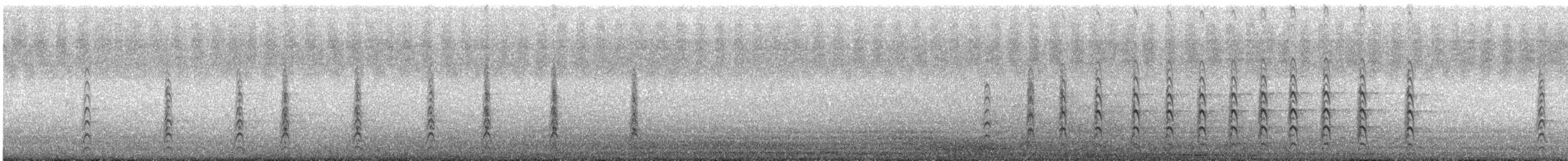 svartkronestylteløper (mexicanus) - ML170846461