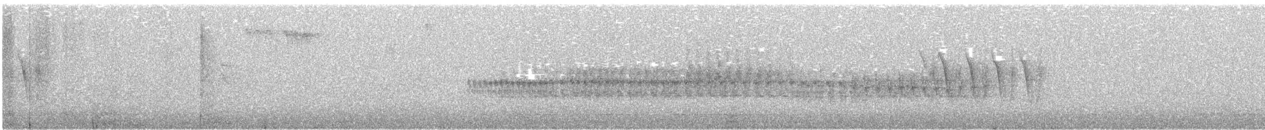 křivka bělokřídlá - ML170850291
