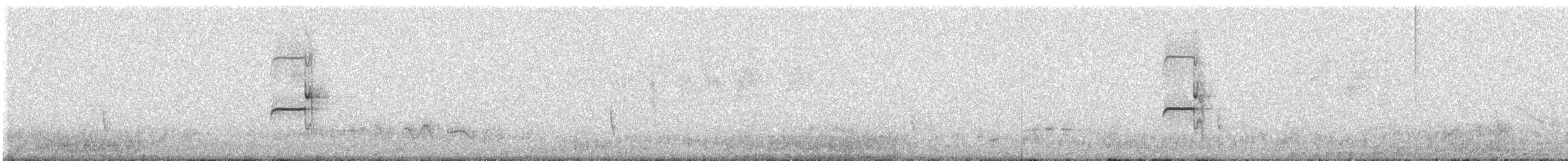 Northern Beardless-Tyrannulet - ML170858841