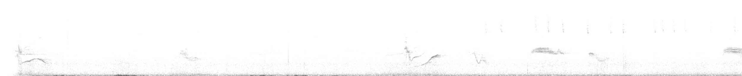 Western Wood-Pewee - ML170864651