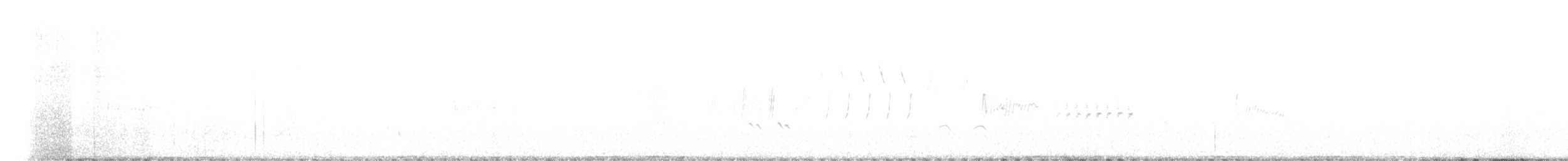 Western Wood-Pewee - ML170864951