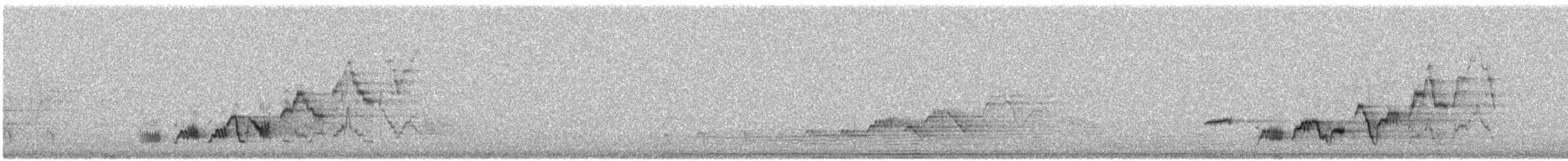 Дрізд-короткодзьоб Cвенсона - ML170876691