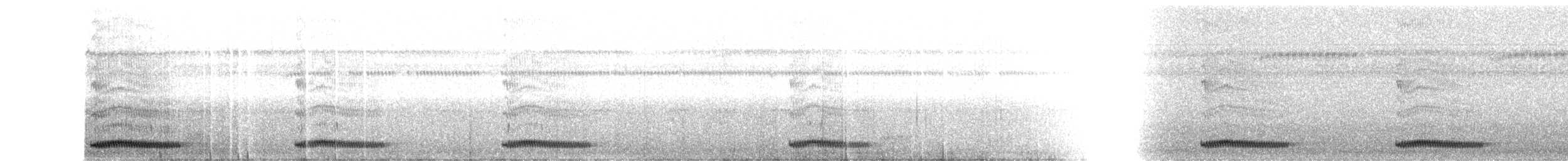 Chotacabras Cubano (insulaepinorum) - ML170877471