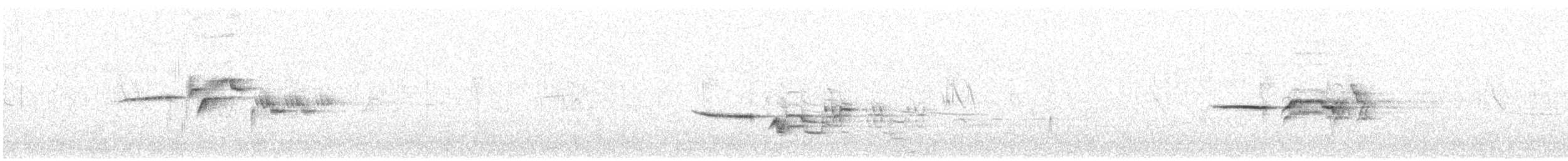 Grive solitaire - ML170905581