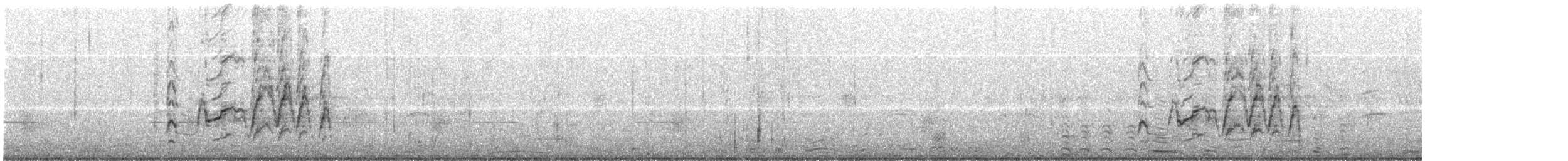 Kara Karınlı Islıkçı Ördek - ML170906391