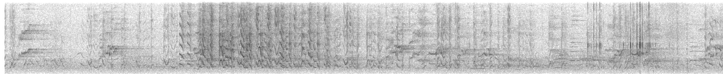 Eastern Rosella - ML170916691