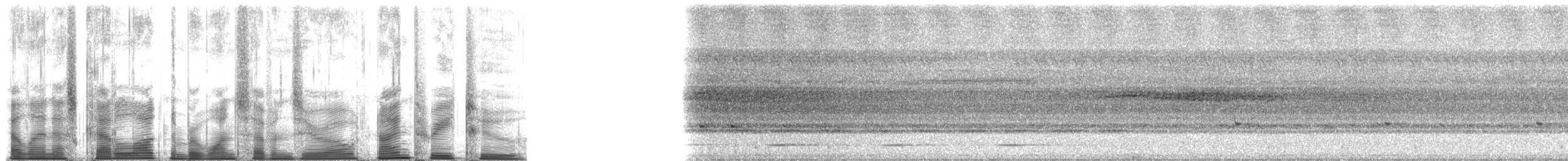 Красногрудый сычик - ML170932