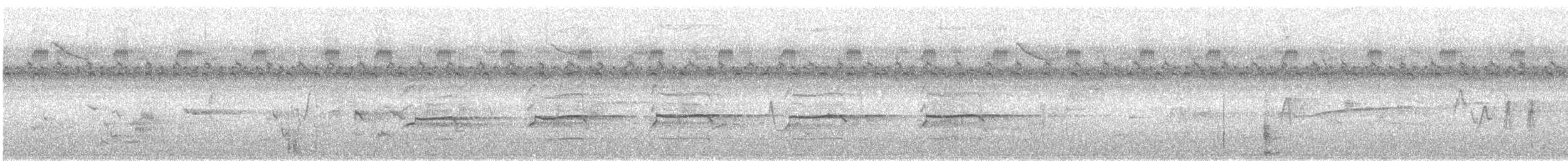 Rotschulter- x Rotschwanzbussard (Hybrid) - ML170939041