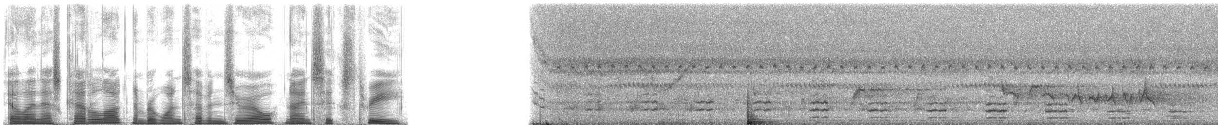medozvěstka lyroocasá - ML170963