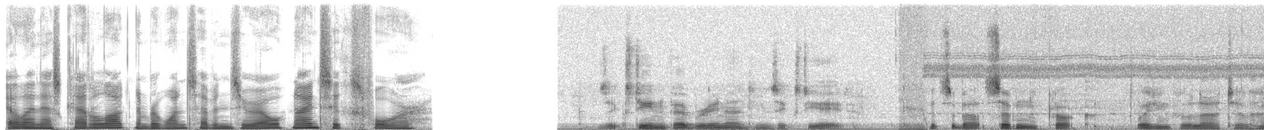 Indicateur à queue en lyre - ML170964