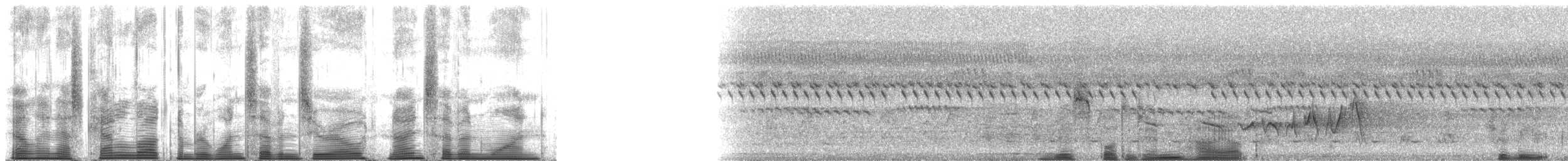 Indicateur à queue en lyre - ML170971