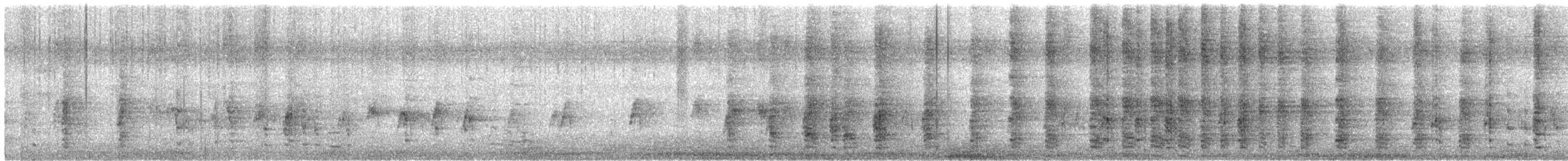 Helmperlhuhn (domestiziert) - ML170988421