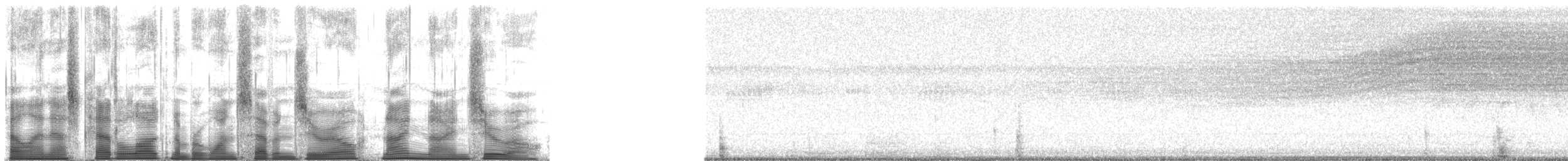 Typical Cicadas - ML170990