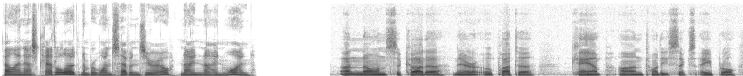 Typical Cicadas - ML170991