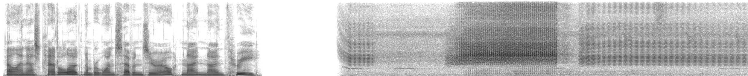 Typical Cicadas - ML170993