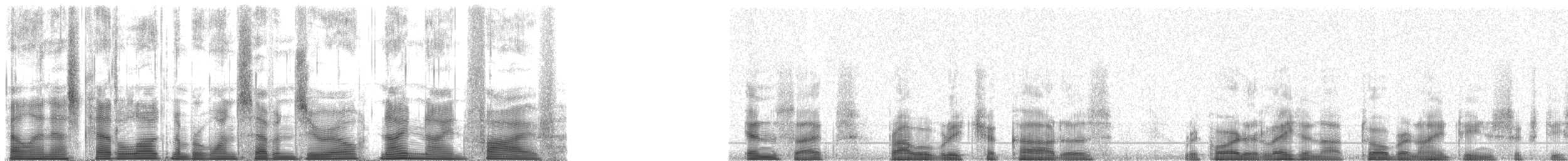 Typical Cicadas - ML170995