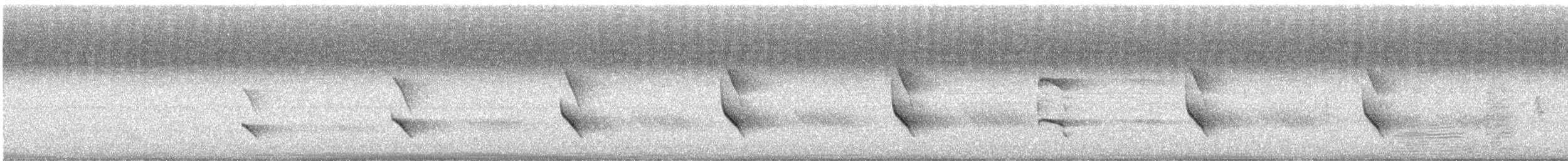 Balbuzard pêcheur - ML171032351