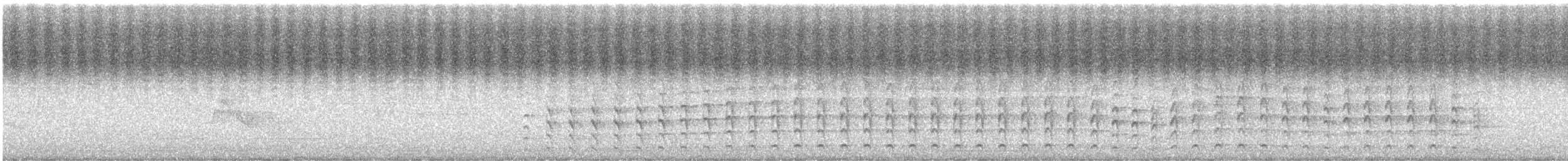 Épervier de Cooper - ML171033181