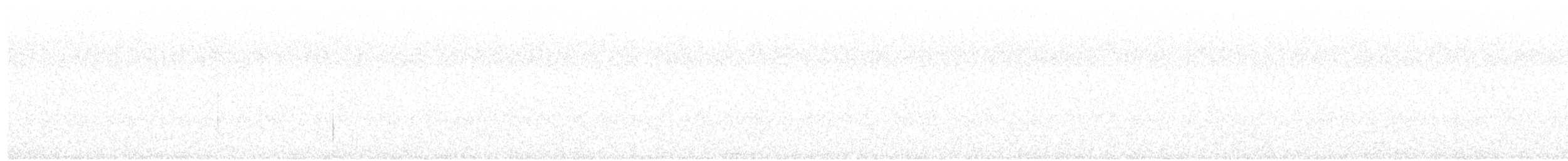 アメリカコノハズク - ML171038091