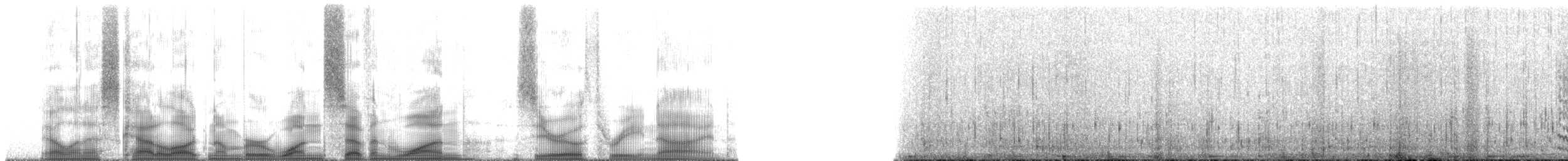 Серогрудый зобатый бегунок - ML171039