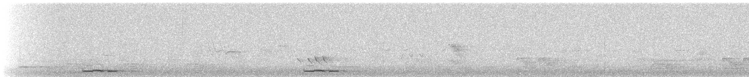 holoubek proužkokrký - ML171056241