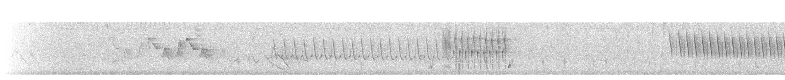 Troglodyte des marais - ML171116951