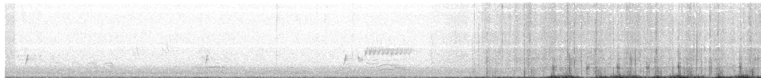 Passeriformes sp. - ML171156401