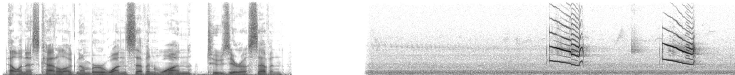 Сокіл плямистокрилий - ML171207