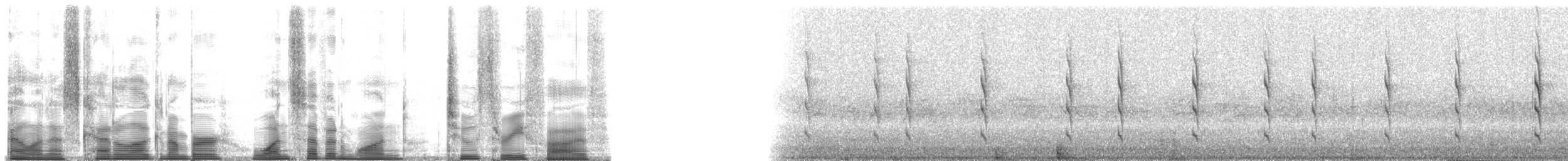 hummingbird sp. - ML171235