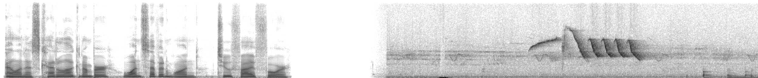 Bewick's Wren - ML171254