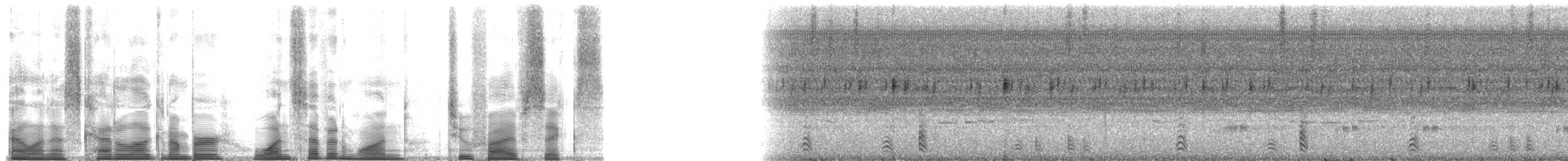 Spectacled Caiman - ML171256