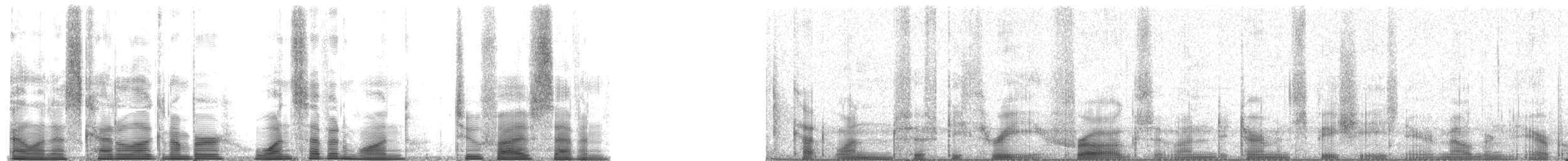 Frogs and Toads - ML171257