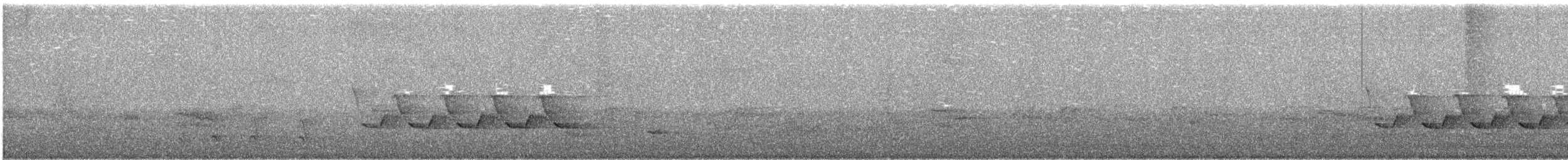 Каролинский крапивник - ML171257471