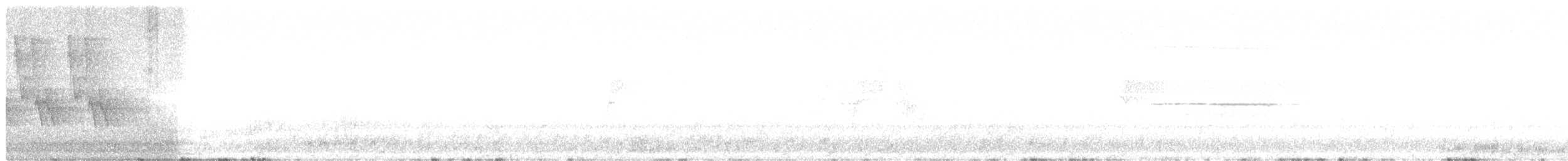 Ширококрылый канюк - ML171263751
