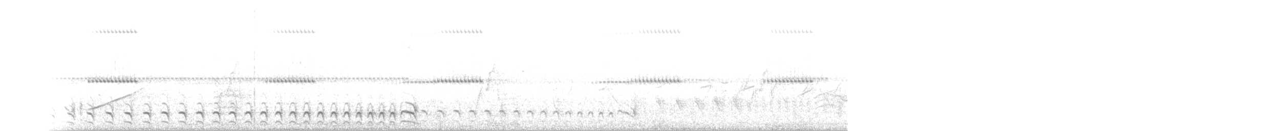 Barred Antshrike (Barred) - ML171279581