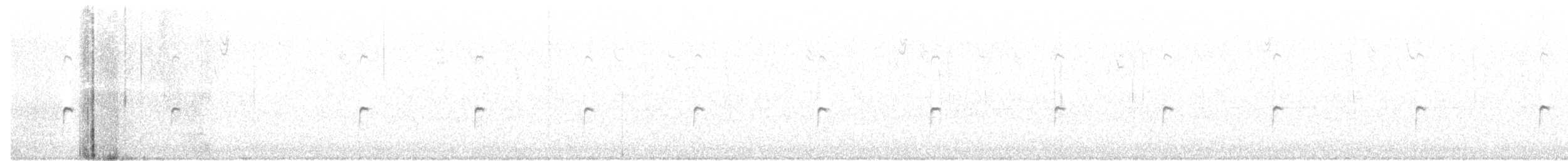 Spotted Sandpiper - ML171296581
