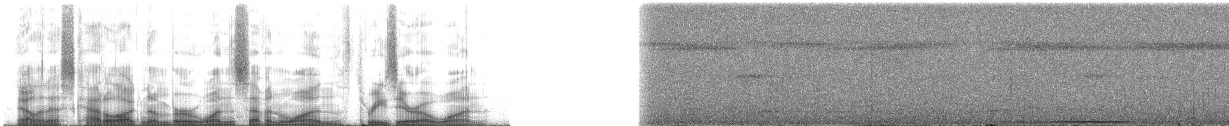 オオテリハウズラバト - ML171301