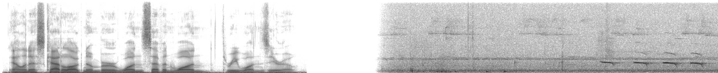 Trogon rosalba (groupe collaris) - ML171310
