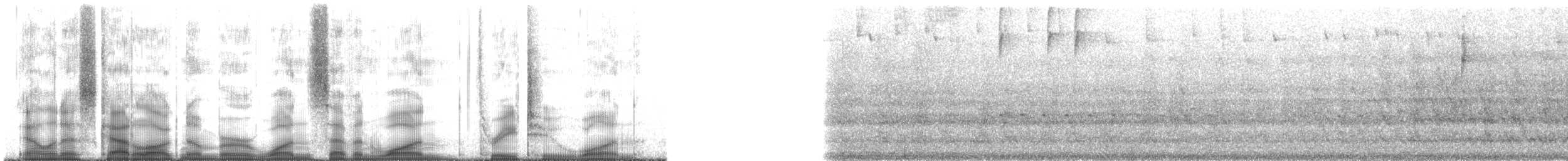 Красноухая которра - ML171321