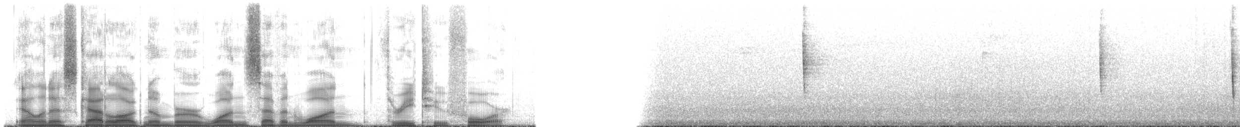 Paruline à cimier noir - ML171324