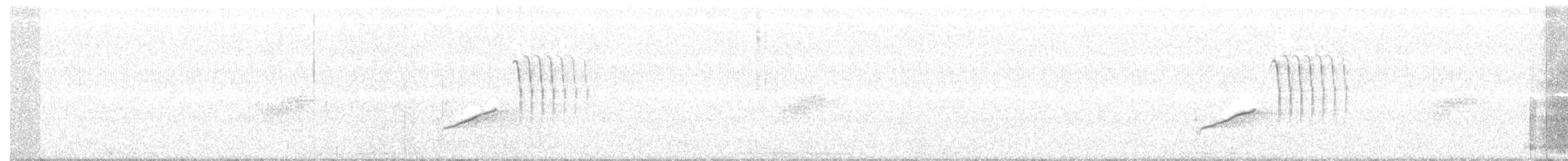 Тауї плямистий - ML171347591