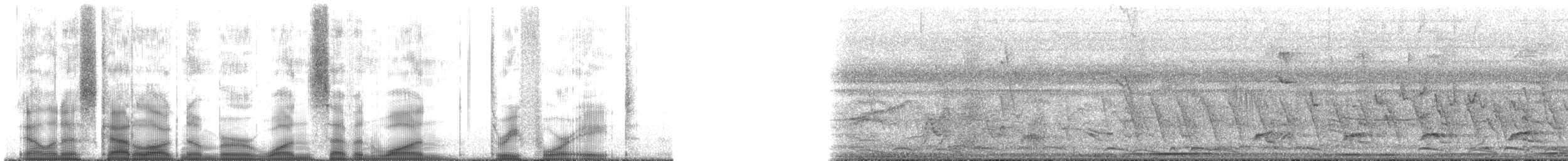 holub bledočelý [skupina verreauxi] - ML171348