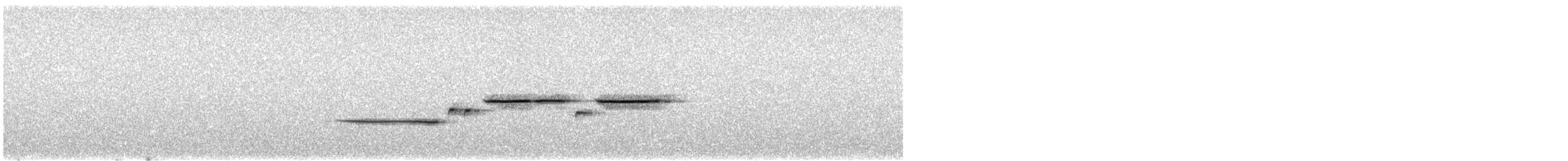 White-throated Sparrow - ML171355581