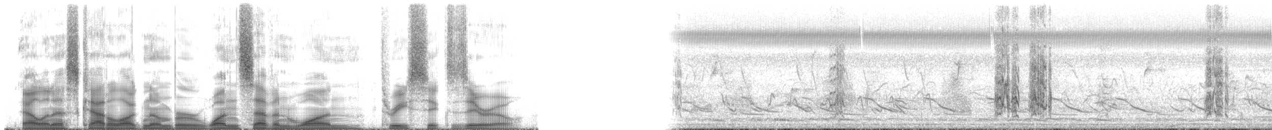 aratinga hnědohrdlý [skupina pertinax] - ML171360