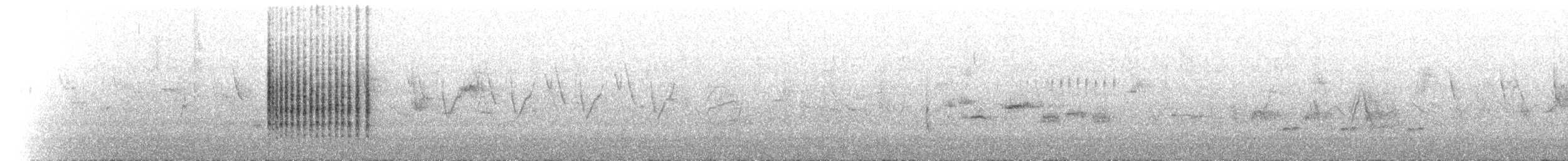pěnice pokřovní (ssp. althaea) - ML171373251