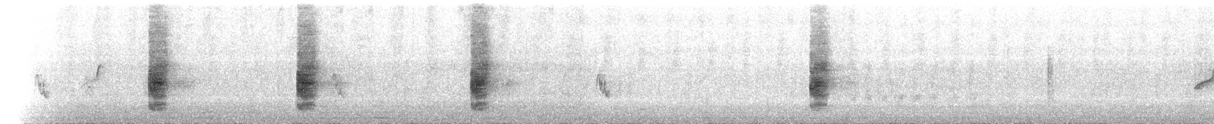 Long-tailed Shrike - ML171373471