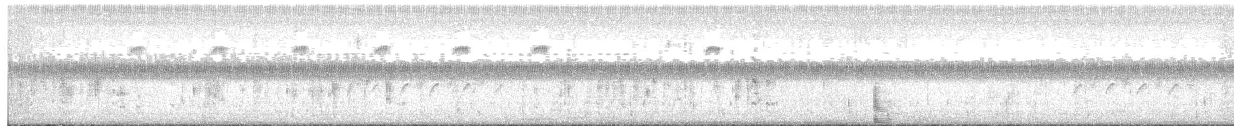 Troglodyte des marais - ML171375221