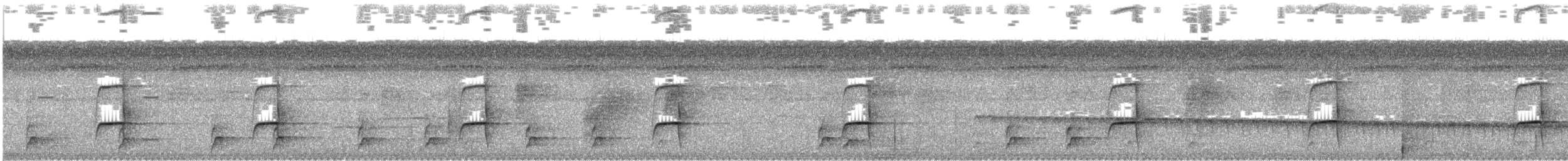 Синелобая якамара - ML171377561