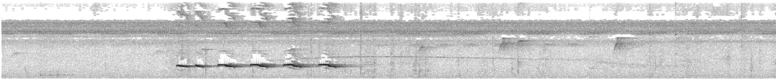 Weißschulter-Ameisenvogel - ML171377581