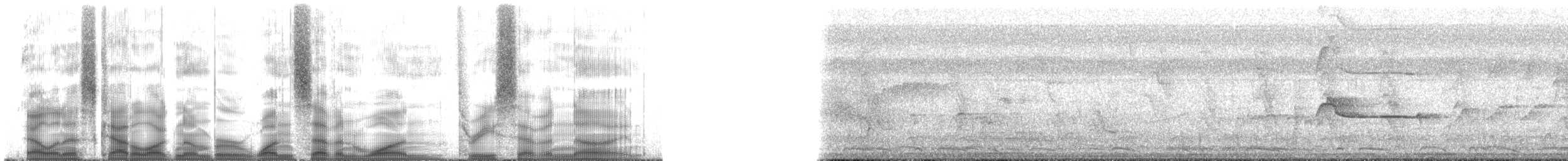 Pepitero del Orinoco - ML171379